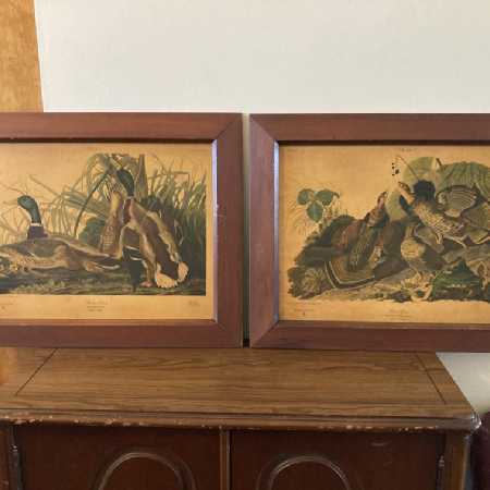 One Vintage Framed Fine Art Audubon Print Birds Of America 2 Plates Avail 41 Grouse 221 Duck-Pic1